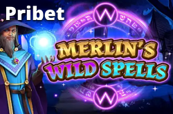 Merlins Wild Spells